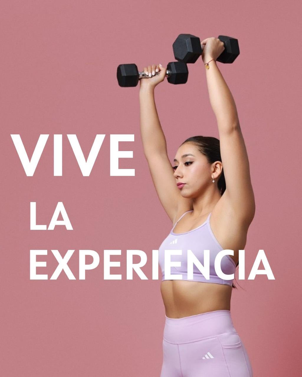VIVE LA EXPERIENCIA - PRESENCIAL